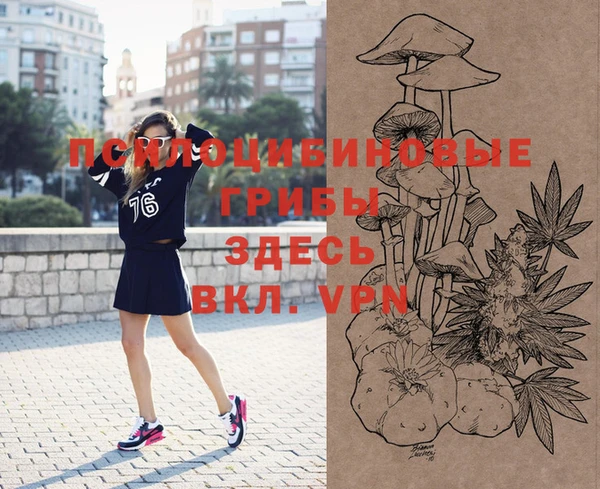 дживик Вязники