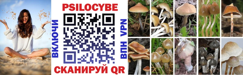 Псилоцибиновые грибы GOLDEN TEACHER  Ленинградская 